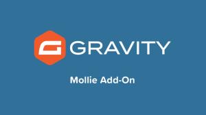 Gravity Forms Mollie Add-On